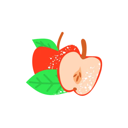 Frisch geschnittener Apfel  Illustration