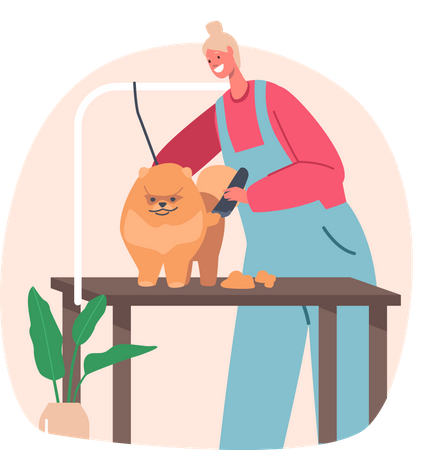 Friseurin schneidet Hundehaare  Illustration