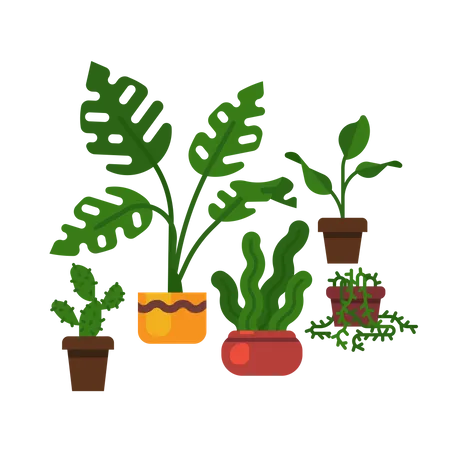 Belles Plantes Domestiques Vectorielles Au Design Plat Avec Une Usine De Fromage Suisse Sansevieria Cactus Et Plus Illustration