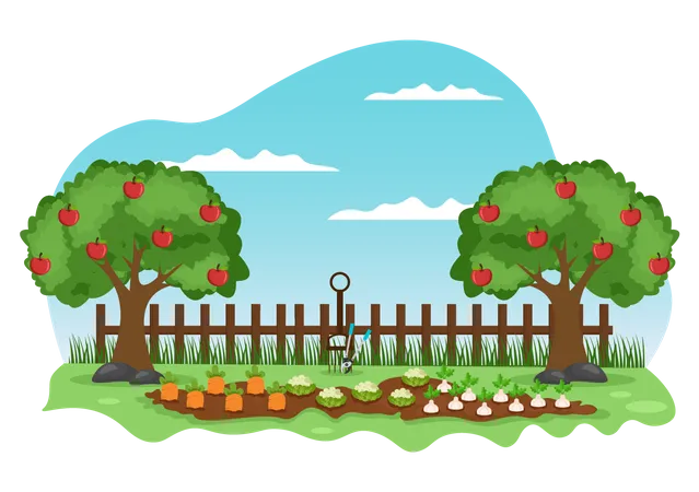 Fruit Farm  Illustration