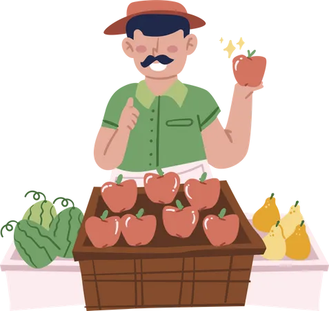 Fruit Seller  Illustration