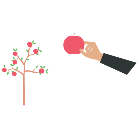 Fruit Tree  Illustration