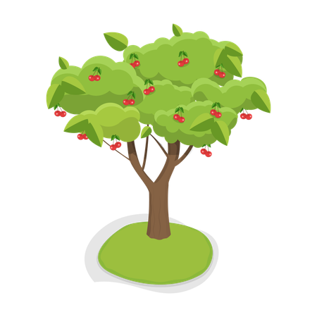 Fruit Tree growing berries  Illustration