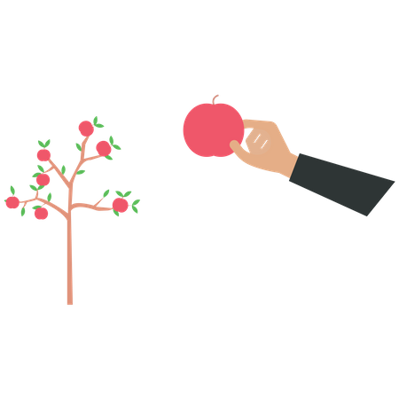 Fruit Tree  Illustration