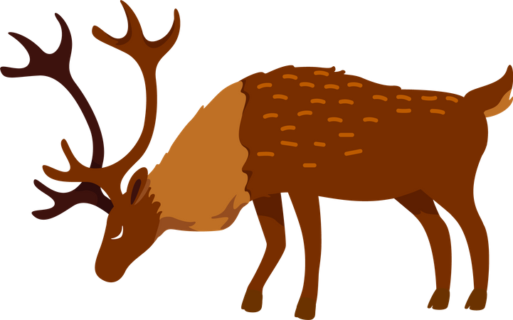 Full grown deer Illustration