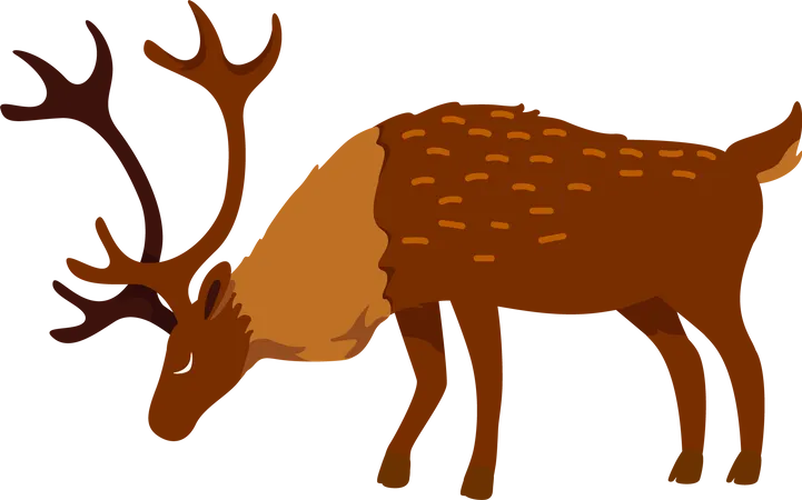Full Grown Deer Semi Flat Color Vector Character Posing Figure Full Body Animal On White Hoofed Mammal With Antlers Simple Cartoon Style Illustration For Web Graphic Design And Animation 일러스트레이션