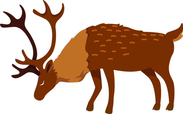 Full grown deer  Illustration