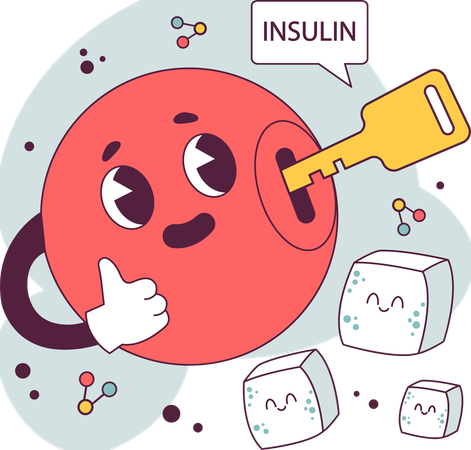 Función de la insulina y sistema endocrino.  Ilustración