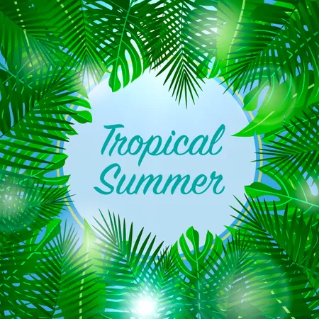 Fundo de verão tropical com folhas  Ilustração