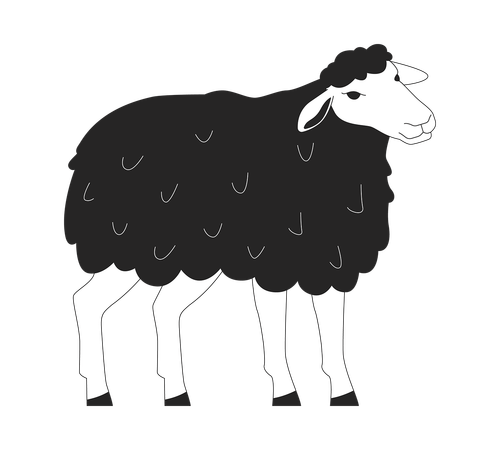 Funny sheep with fluffy wool  Illustration