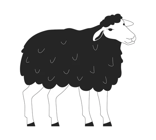 Funny sheep with fluffy wool  Illustration