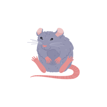 Funny sitting rat  Illustration