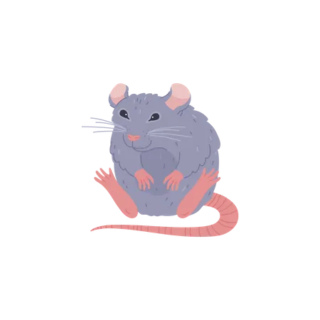 Funny Sitting Rat Animal Flat Style Vector Illustration Isolated On White Background Little Smiling Gray Rodent Decorative Design Element Cute Childish Character イラスト