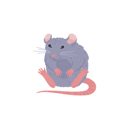 Funny sitting rat  Illustration