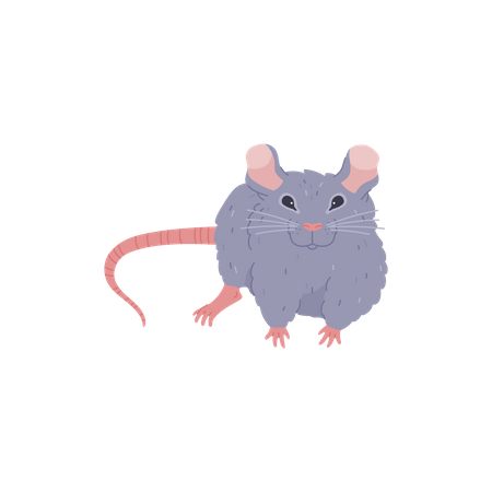 Furry rat  Illustration