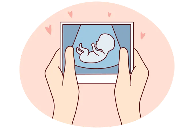 Future mother hold scan of embryo  Illustration