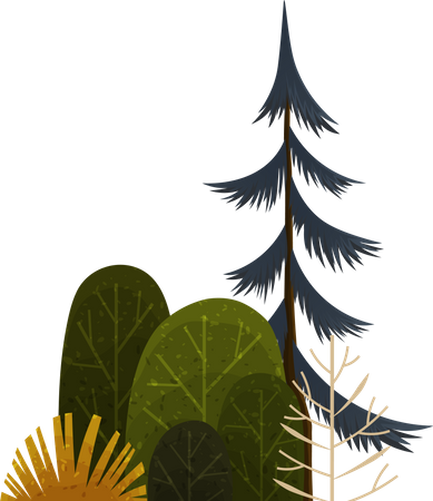Galhos planta florestal  Ilustração