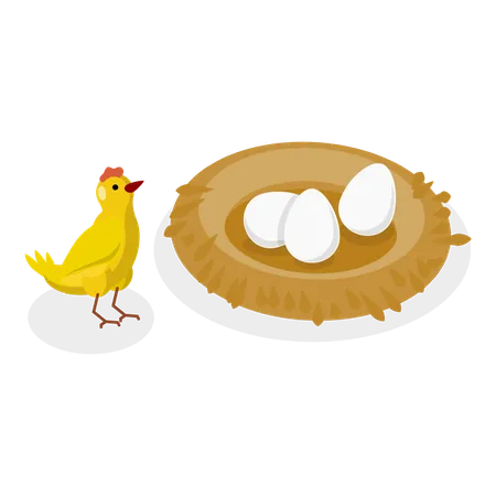 Galinha vagando perto do ninho para proteger os ovos dos inimigos  Ilustração