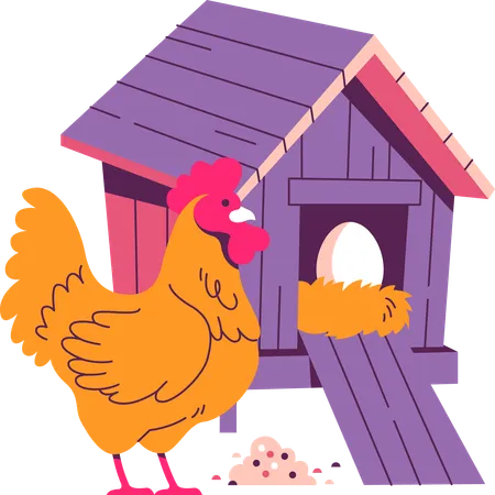 Allevamento di galline  Illustration