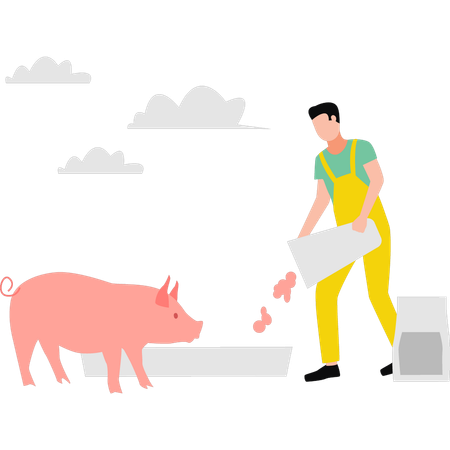 Garçon nourrissant un cochon  Illustration