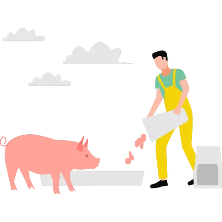 Garçon nourrissant un cochon  Illustration