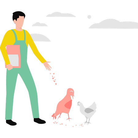 Garçon nourrissant des poulets  Illustration