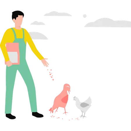 Garçon nourrissant des poulets  Illustration