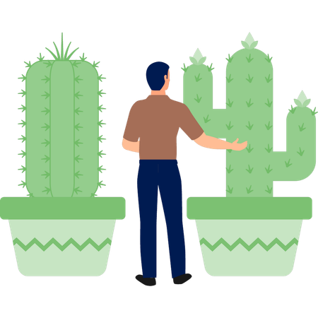 Garçon expliquant les plantes Cereus et Mamillaria  Illustration