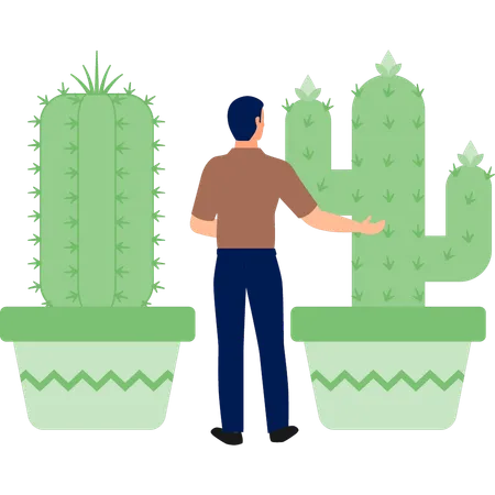 Garçon expliquant les plantes Cereus et Mamillaria  Illustration