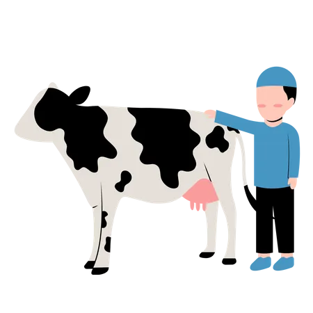 Garçon islamique avec vache  Illustration