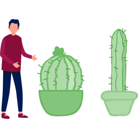 Garçon montrant une plante de browaingia  Illustration