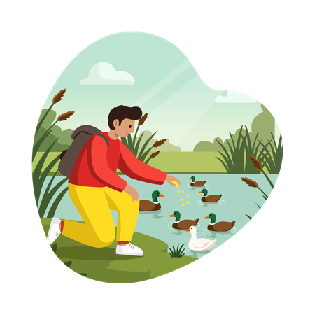 Garçon nourrissant des canards dans un parc  Illustration