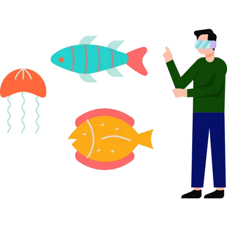 Garçon portant des lunettes VR regardant des animaux marins  Illustration