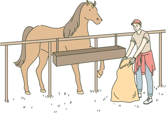 Le garçon s'occupe du cheval dans l'écurie  Illustration