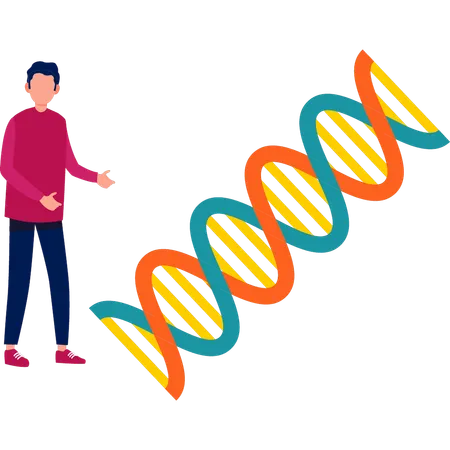 Garçon présentant l'ADN  Illustration