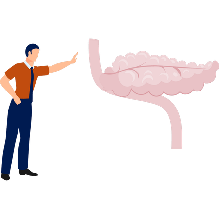 Garçon présentant une affection de l'intestin grêle  Illustration
