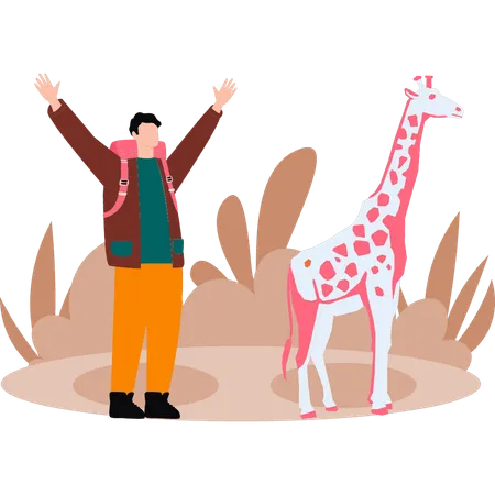 Le garçon regarde la girafe  Illustration