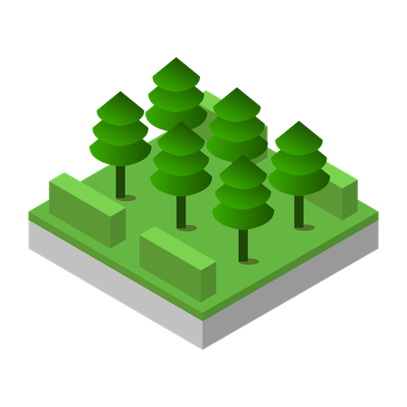 Garden  Illustration
