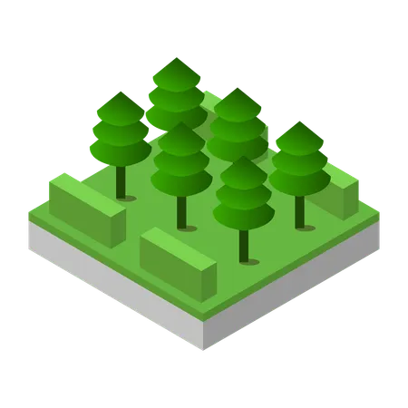 Garden  Illustration