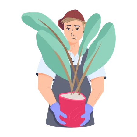 Man Planting Plant Illustration