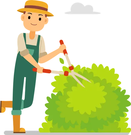 Gardener cut a grass in the garden  Illustration