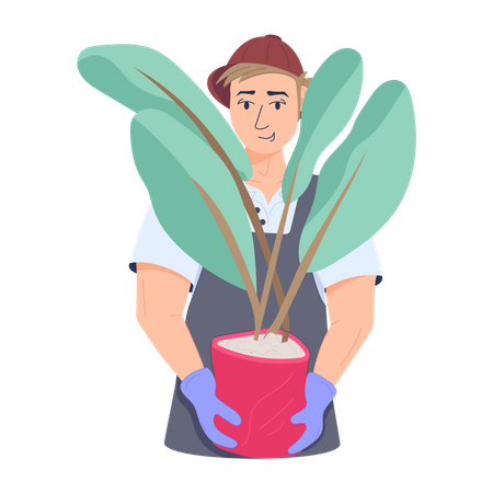 Gardener  Illustration