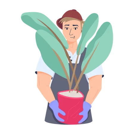 Gardener  Illustration