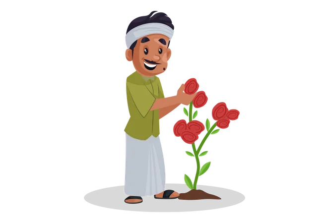 Gardener picking up rose from plant Illustration