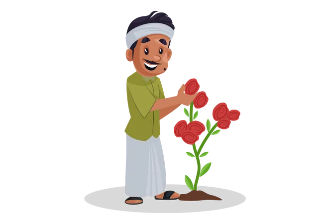 Gardener picking up rose from plant  Illustration