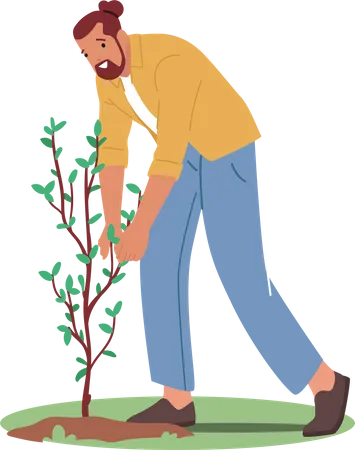 Gardener Planting Tree Illustration