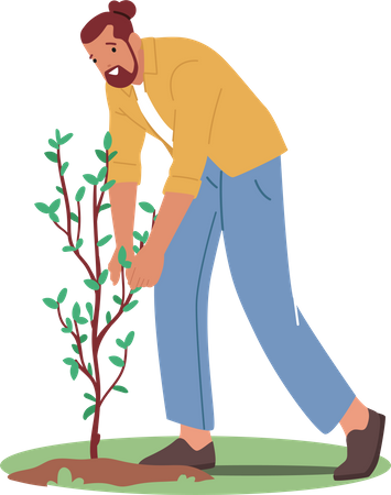 Gardener Planting Tree  Illustration