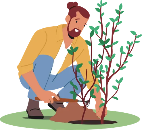 Gardener Planting Tree  Illustration