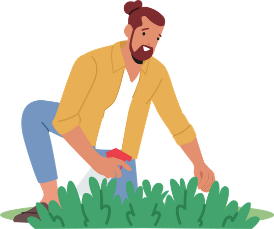 Gardener spraying water to sprout  Illustration