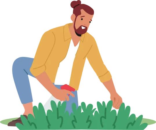 Gardener spraying water to sprout  Illustration